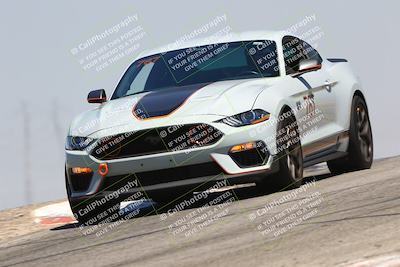 media/Jul-26-2025-Speed Ventures (Sat) [[fe569e6cf0]]/Black Group/Grapvine/